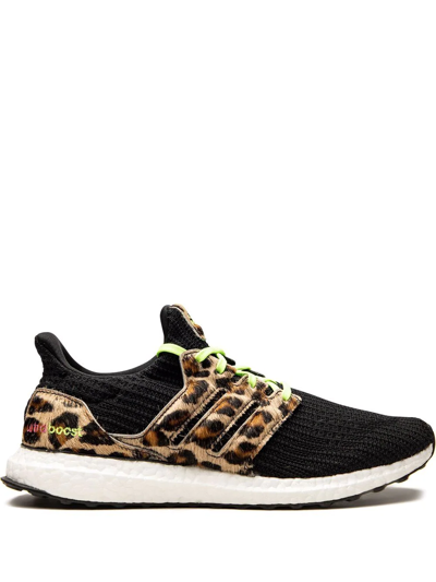 Shop Adidas Originals Ultraboost Dna "animal Pack In Black