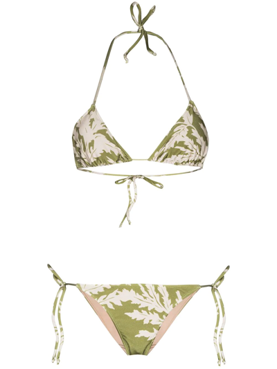 Shop Adriana Degreas Foliage Triangle-cup Bikini Set In Green