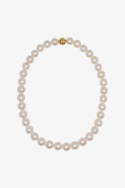 Shop Anine Bing Classic Pearl Choker In 14k Gold