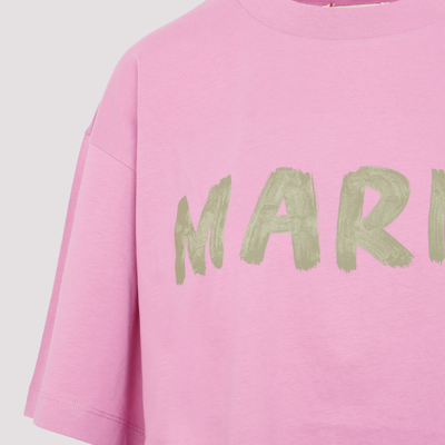 Shop Marni Cotton T-shirt Tshirt In Pink &amp; Purple