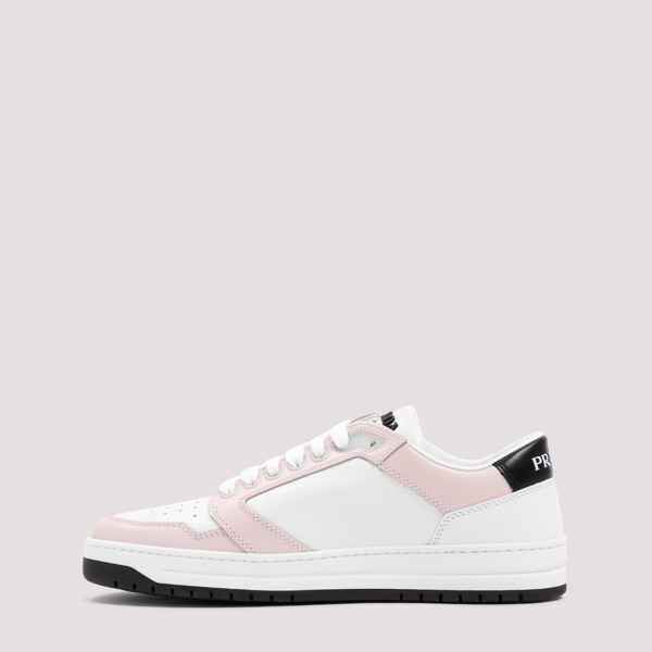 prada allacciate sneakers