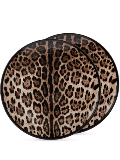 Shop Dolce & Gabbana Leopard-print Porcelain Dinner Plates (set Of 2) In Brown