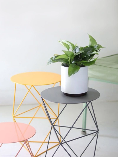 Shop Leon & George Small Jade Pothos With Mid-century Ceramic Pot And Wood Plinth In White