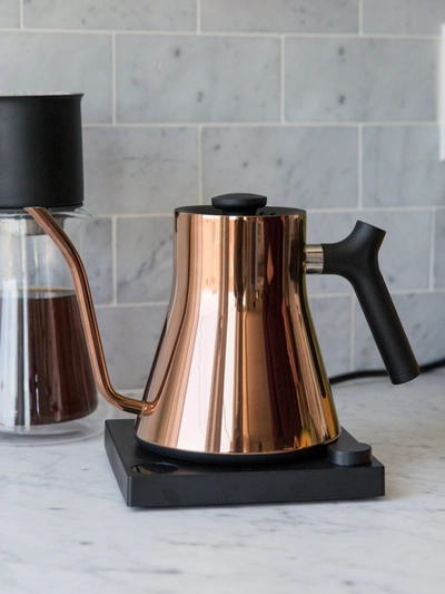 Shop Fellow Stagg Ekg Electric Kettle In Polished Copper