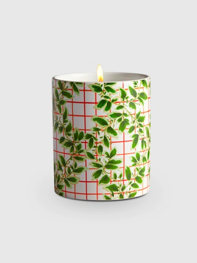 Shop L'or De Seraphine Ivy Ceramic Jar Candle