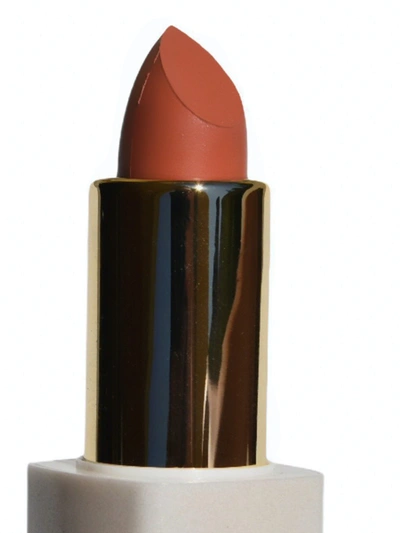 Shop Beauty Care Naturals Lipstick Collection Vol. 1 In Brown