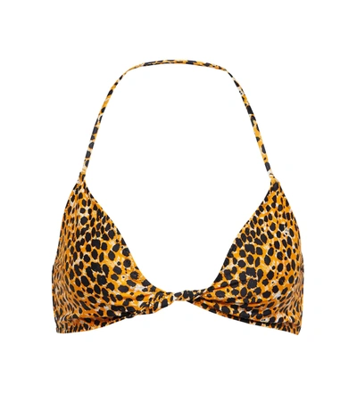 Shop Ganni Leopard Print Halterneck Bikini Top In Bright Marigold