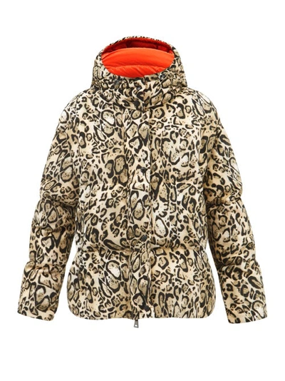 Moncler Neutral Parana Leopard Print Padded Jacket In Neutrals | ModeSens