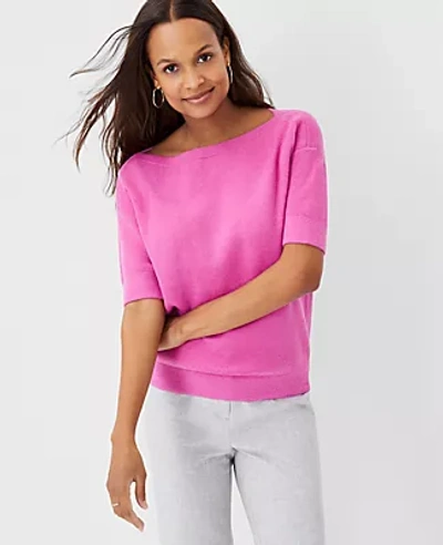 Shop Ann Taylor Boatneck Sweater Tee In Beautiful Orchid