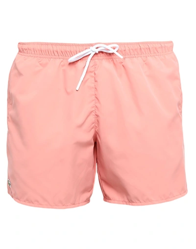 Shop Lacoste Swim Trunks In Pink