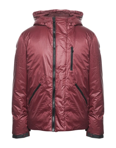 Shop Alessandro Dell'acqua Man Jacket Burgundy Size 34 Nylon In Red