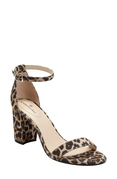 Shop Bandolino Armory 2 Ankle Strap Sandal In Leopard Fabric/ Brown