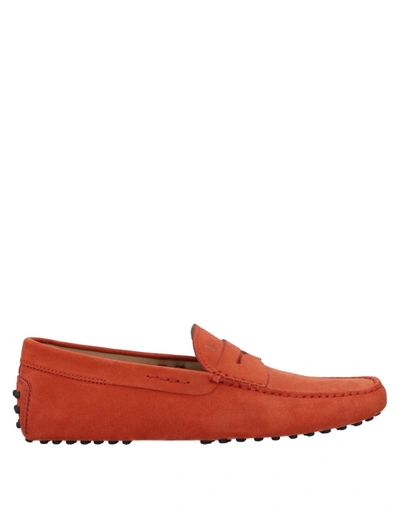 Shop Tod's Man Loafers Brick Red Size 7 Leather