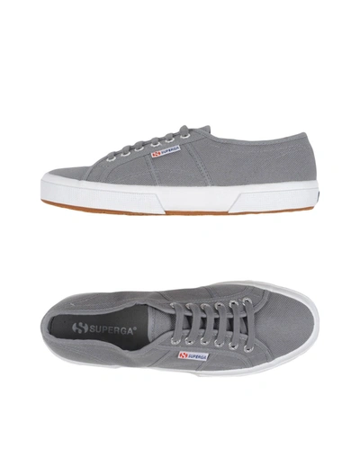 Shop Superga Sneakers In Grey