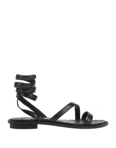 Hadel Sandals In Black