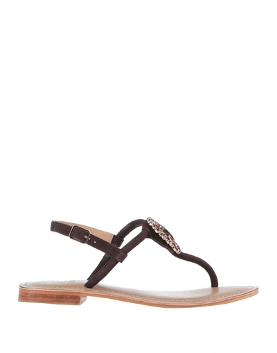 Shop Hadel Toe Strap Sandals In Brown