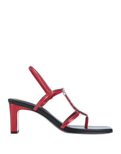Shop Dorateymur Toe Strap Sandals In Red