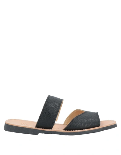 Shop Virreina Sandals In Black