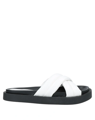 Shop Exe' Sandals In White