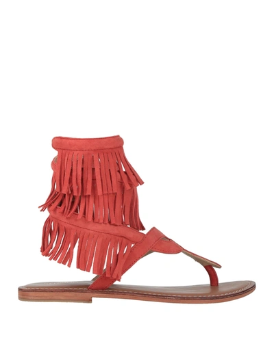 Shop Cb Fusion Woman Thong Sandal Coral Size 11 Soft Leather
