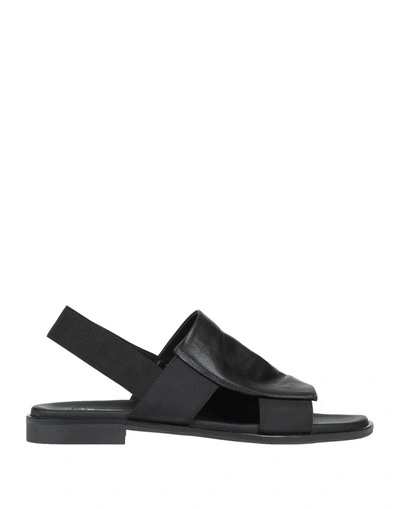 Shop Tosca Blu Woman Sandals Black Size 7 Soft Leather