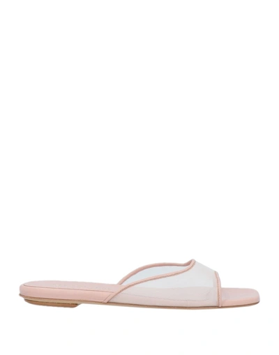 Shop Gia Couture Woman Sandals Light Pink Size 7 Textile Fibers