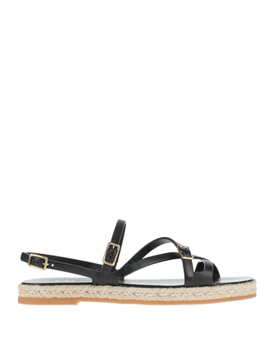 Tod's Espadrilles In Black