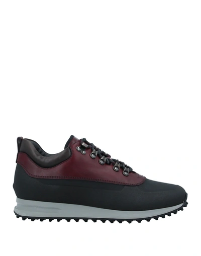 Shop Officine Creative Italia Sneakers In Black