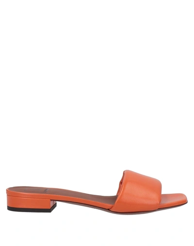 Shop L'autre Chose L' Autre Chose Woman Sandals Orange Size 8 Soft Leather