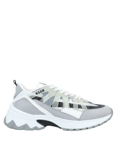 Shop Msgm Man Sneakers Grey Size 11 Soft Leather, Textile Fibers