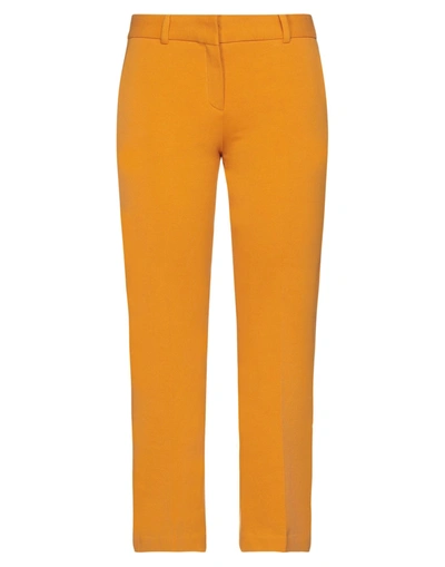 Shop Circolo 1901 Woman Cropped Pants Ocher Size 10 Cotton, Elastane In Yellow