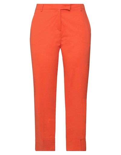 Shop Ql2  Quelledue Ql2 Quelledue Woman Pants Orange Size 10 Cotton, Elastane