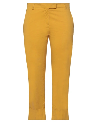Shop Ql2  Quelledue Ql2 Quelledue Woman Pants Ocher Size 10 Cotton, Elastane In Yellow