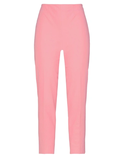 Shop Piazza Sempione Woman Pants Pink Size 2 Cotton, Elastane