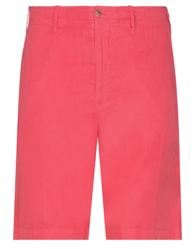 Shop Fedeli Shorts & Bermuda Shorts In Coral