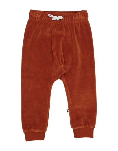 Shop Molo Pants In Rust