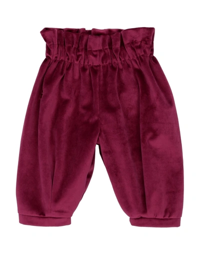 Shop Le Bebé Newborn Girl Pants Burgundy Size 3 Polyester, Modal, Cotton In Red
