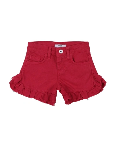 Shop Msgm Shorts & Bermuda Shorts In Red