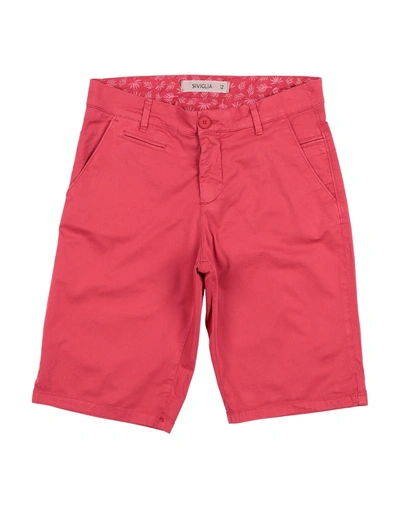 Shop Siviglia Toddler Boy Shorts & Bermuda Shorts Red Size 6 Cotton