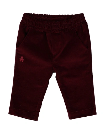 Shop Le Bebé Newborn Girl Pants Burgundy Size 3 Cotton, Elastane In Red