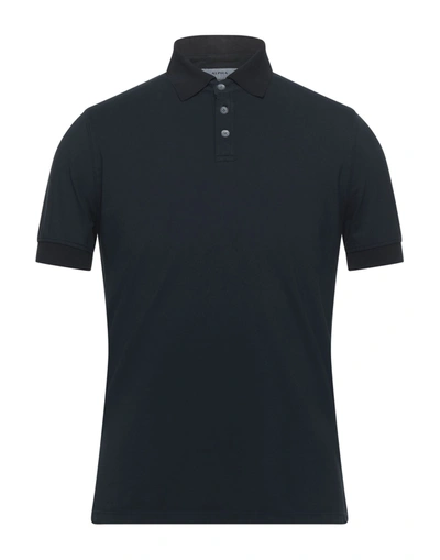 Shop Alpha Studio Man Polo Shirt Midnight Blue Size 38 Cotton, Elastane