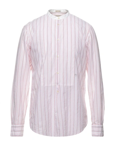 Shop Massimo Alba Man Shirt Pink Size S Cotton