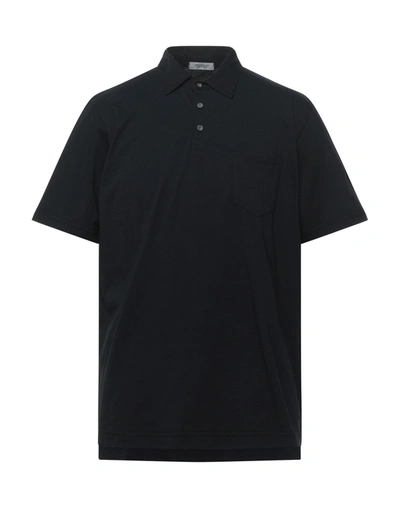 Shop Crossley Man Polo Shirt Black Size S Cotton