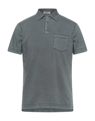 Shop Crossley Man Polo Shirt Grey Size L Cotton
