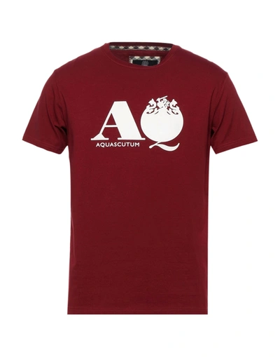 Shop Aquascutum Man T-shirt Burgundy Size Xxl Cotton, Elastane In Red