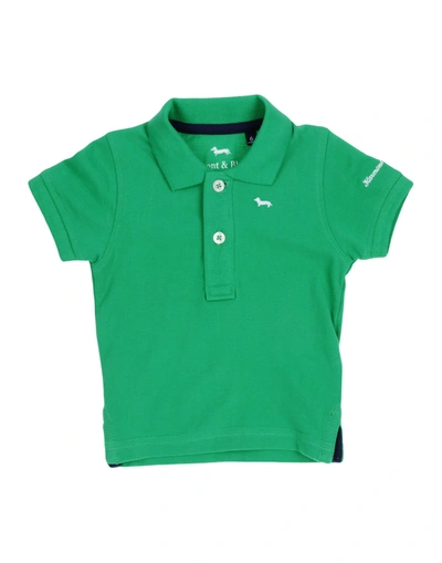 Shop Harmont & Blaine Polo Shirts In Green