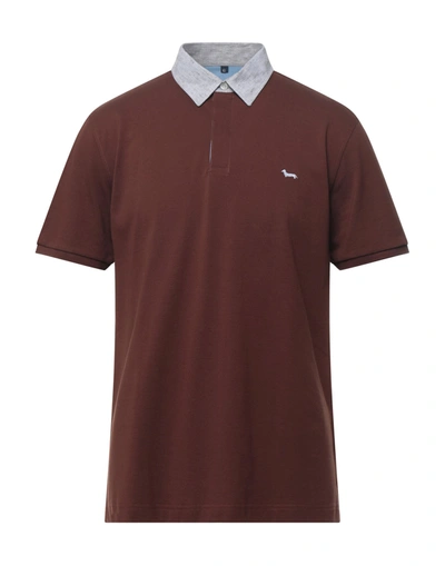 Shop Harmont & Blaine Polo Shirts In Brown