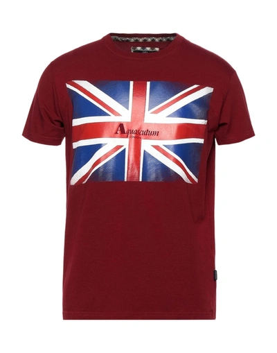 Shop Aquascutum Man T-shirt Burgundy Size S Cotton, Elastane In Red