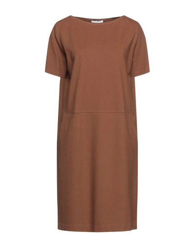 Shop Circolo 1901 Short Dresses In Brown