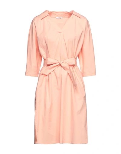 Shop Peserico Woman Midi Dress Salmon Pink Size 6 Cotton, Elastane